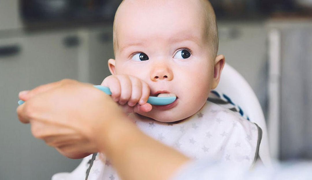 baby starting solids holding a silicone spoon eating pure fed by mothers hand