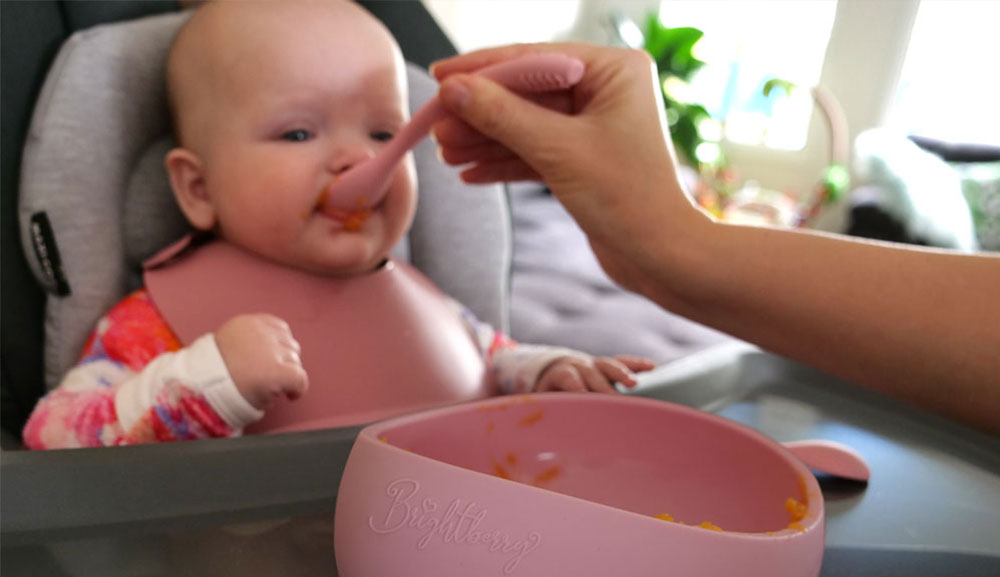 Starting Solids: A Guide to Baby-Led Weaning & Purees